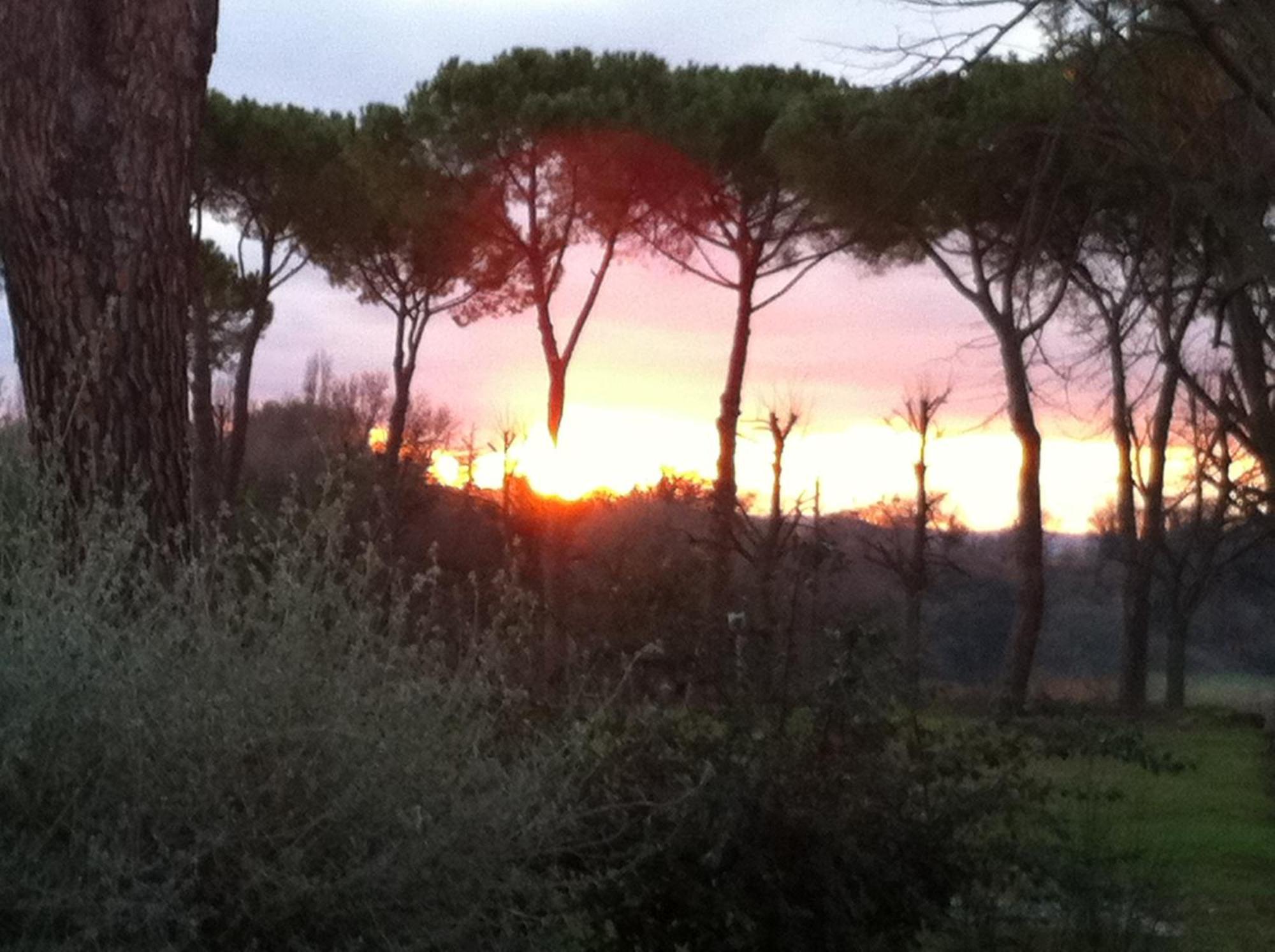 Villa Acquaviva Wine Resort Montemerano Kültér fotó