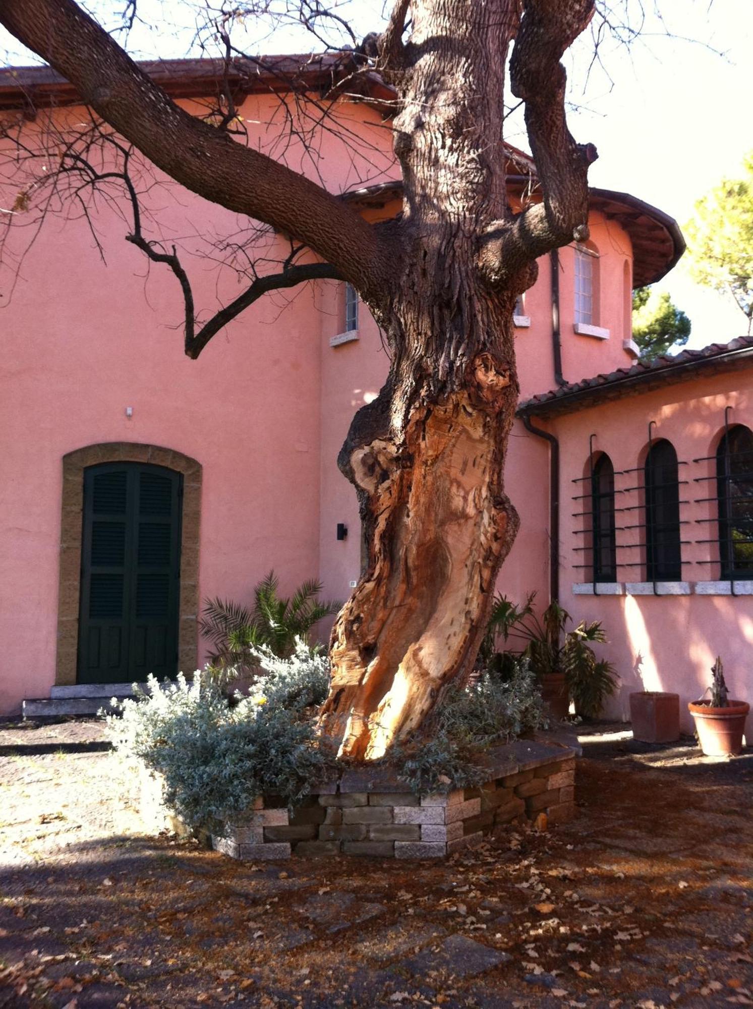 Villa Acquaviva Wine Resort Montemerano Kültér fotó