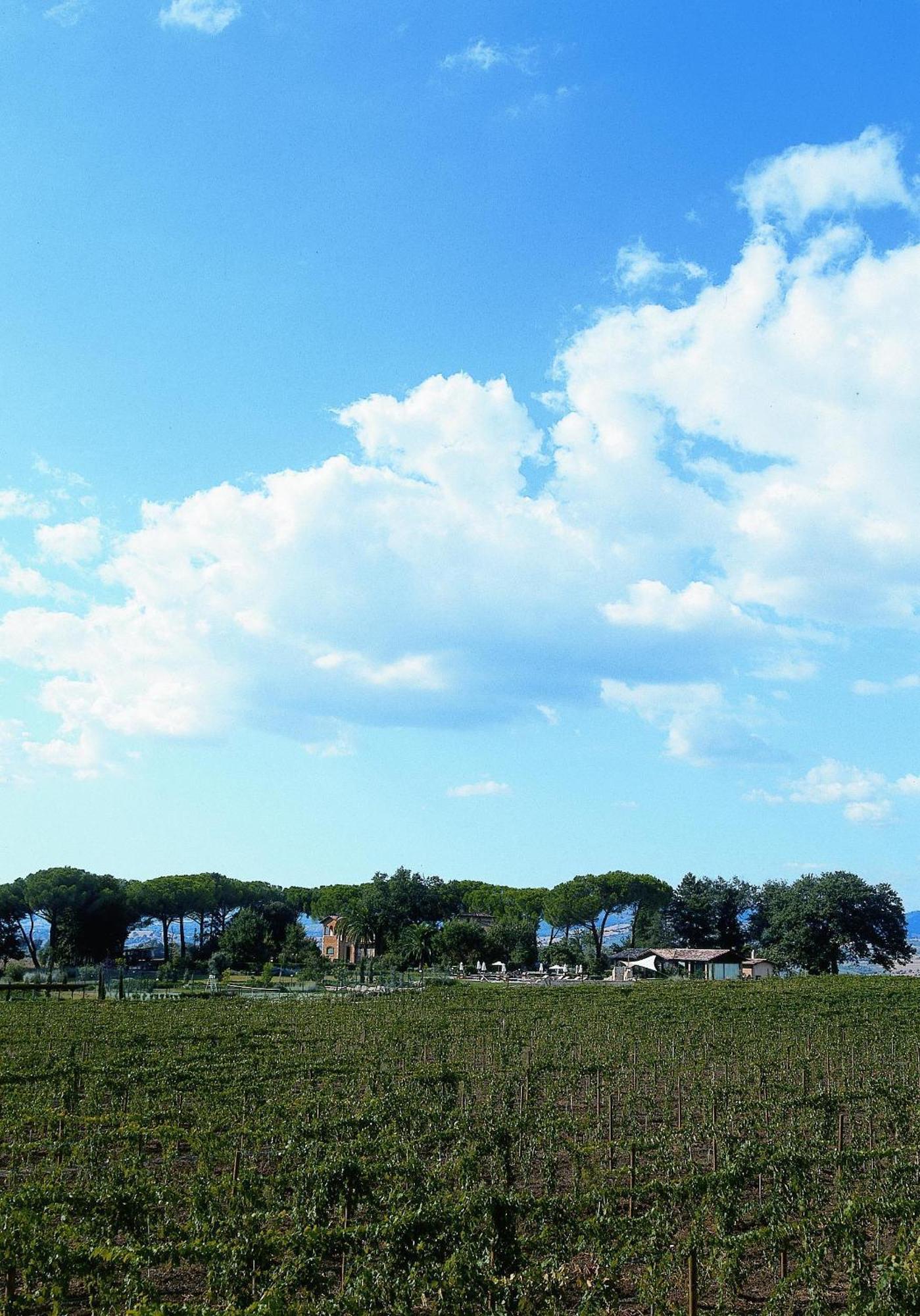 Villa Acquaviva Wine Resort Montemerano Kültér fotó