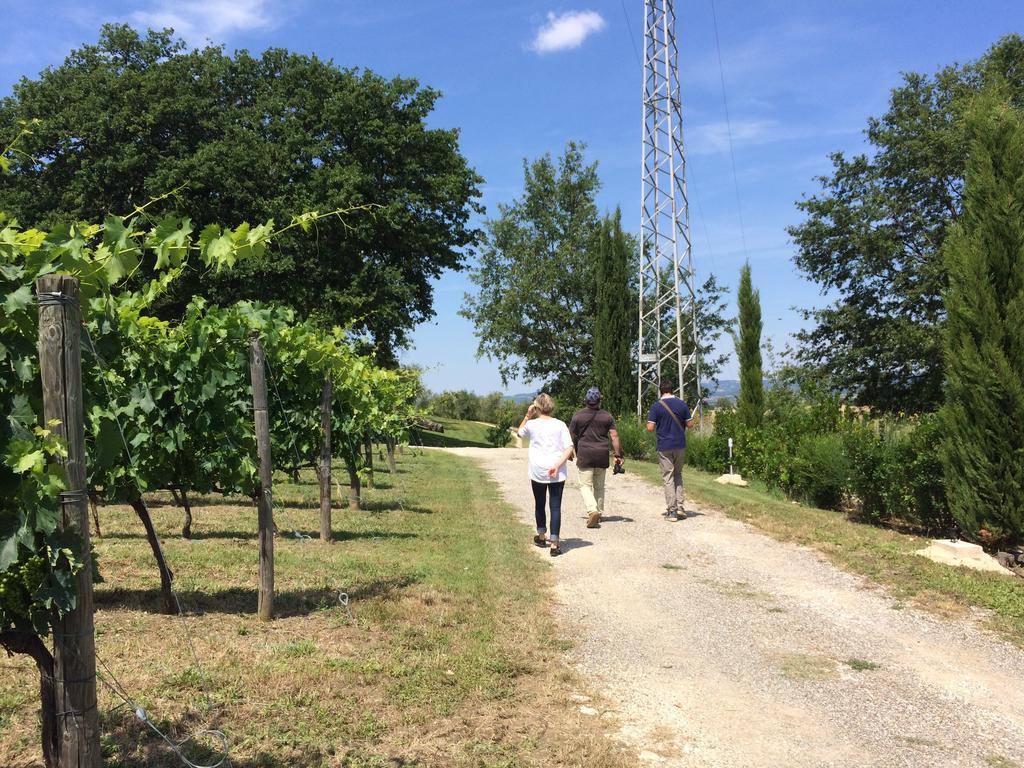 Villa Acquaviva Wine Resort Montemerano Kültér fotó