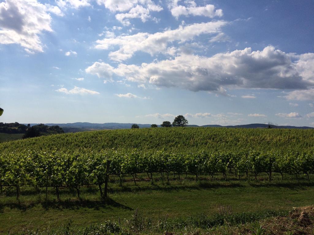 Villa Acquaviva Wine Resort Montemerano Kültér fotó