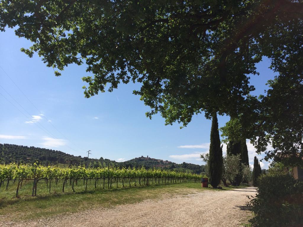 Villa Acquaviva Wine Resort Montemerano Kültér fotó