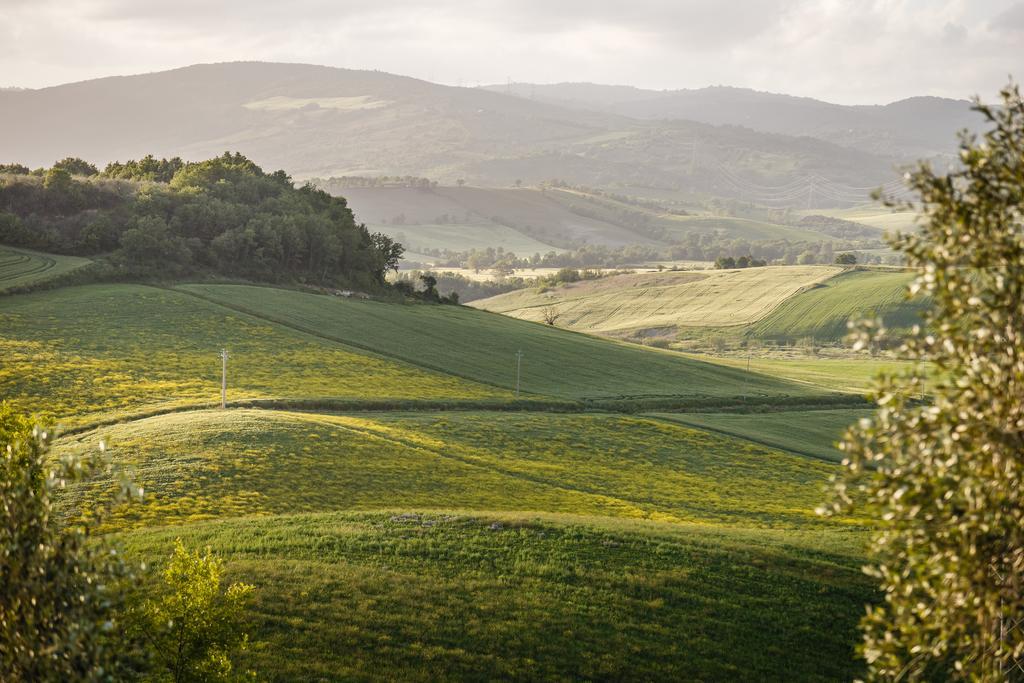Villa Acquaviva Wine Resort Montemerano Kültér fotó