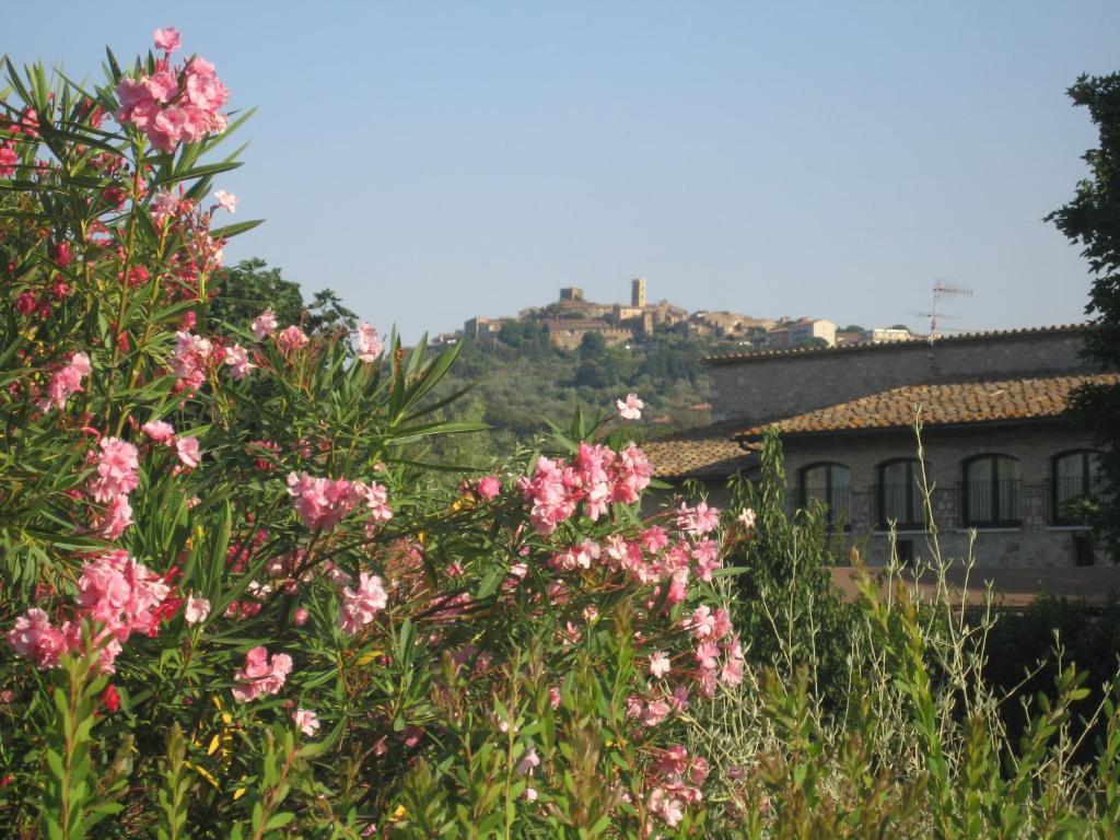 Villa Acquaviva Wine Resort Montemerano Kültér fotó
